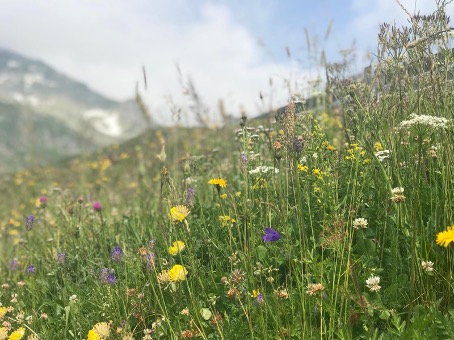 Viaggiare in Italia in auto. i migliori consigli per la strada