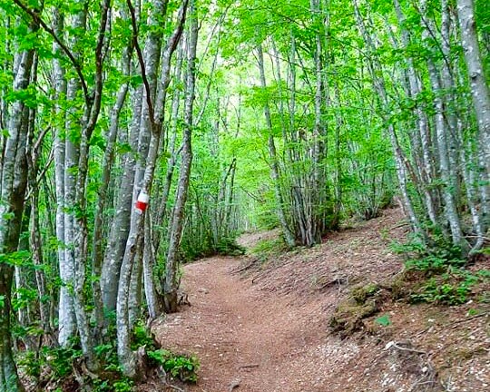 sentiero monte san vicino 2